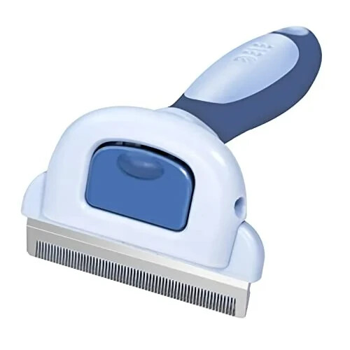 Dogs cats hair shedding - dogs,