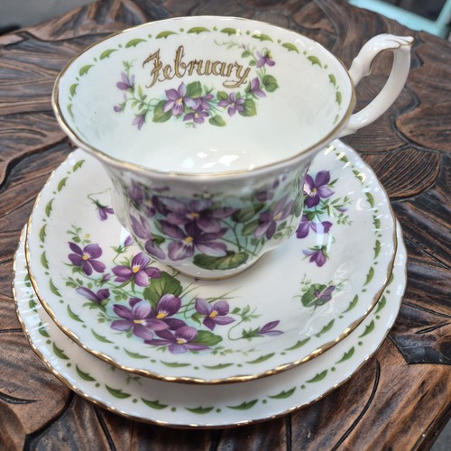 Royal albert flower the - of,