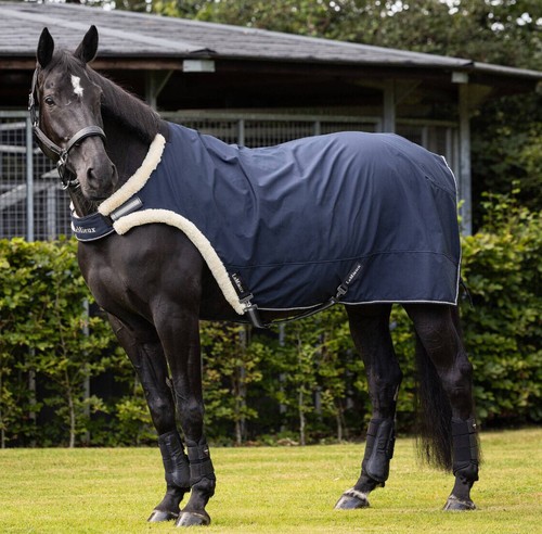 Lemieux walker rug water - walker,