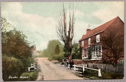 Rudgwick bucks green - bucks, horsham
