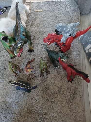 Job lot dinosaurs - job,