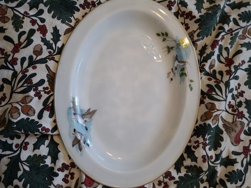 Jaj pyrex oval meat serving - oval,