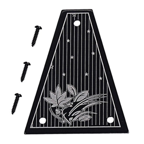 Metal guitar truss rod cover - truss,