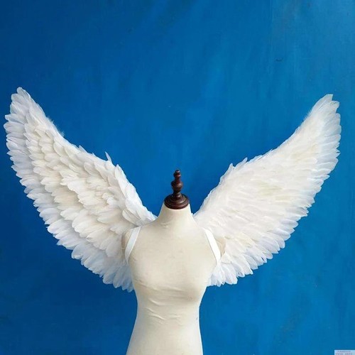 New white angel feather - angel, wings