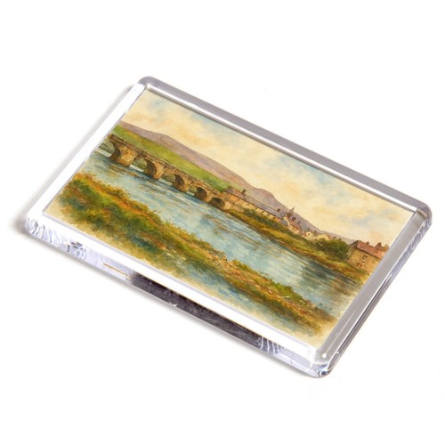 Fridge magnet the bridge - fridge,