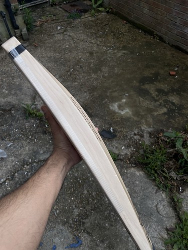 Cricket bat - cricket,