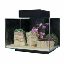 Aquarium fish tank aqua - tank, one
