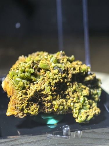 High quality natural - quality,