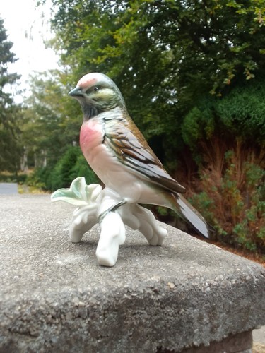 Vintage karl ens gloss bird - gloss,