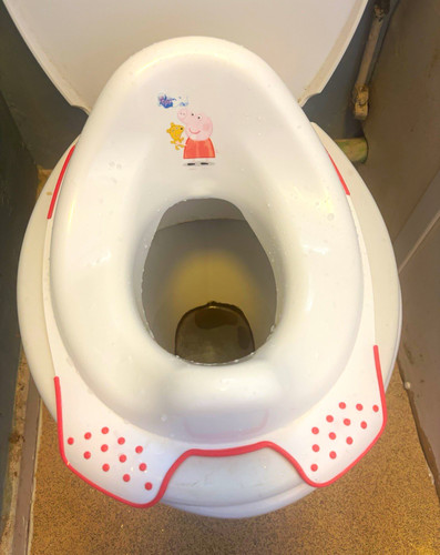 Peppa pig potty training - pig,