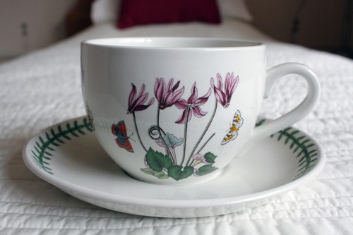 Rare portmeirion cup and - ,