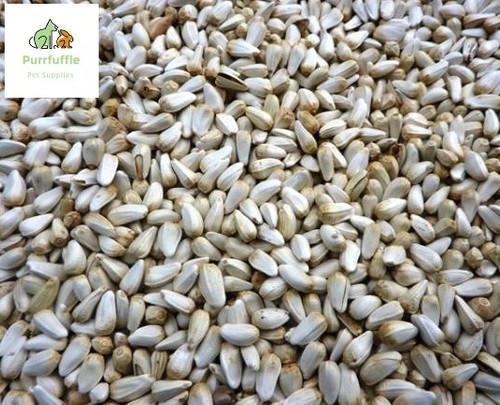 15kg white safflower seed - 15kg,