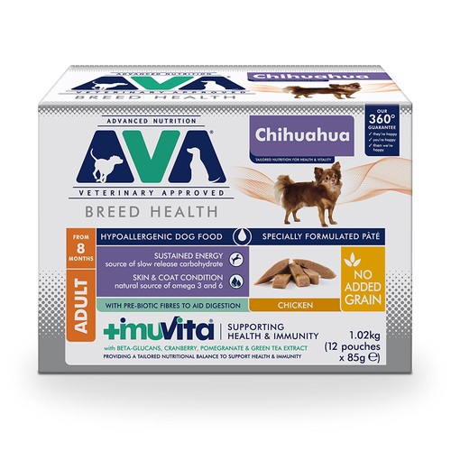 Ava breed health - ava, chihuahua