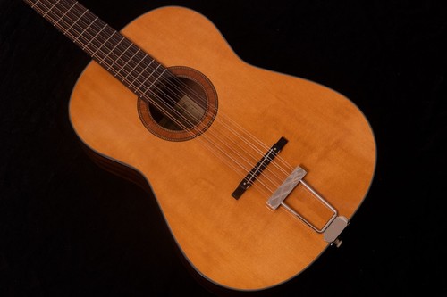 Framus hootenanny 12st vnn - hootenanny,