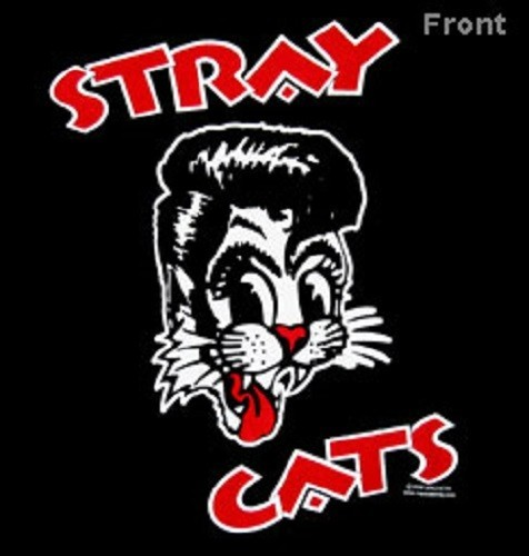 Stray cats cat head - stray,