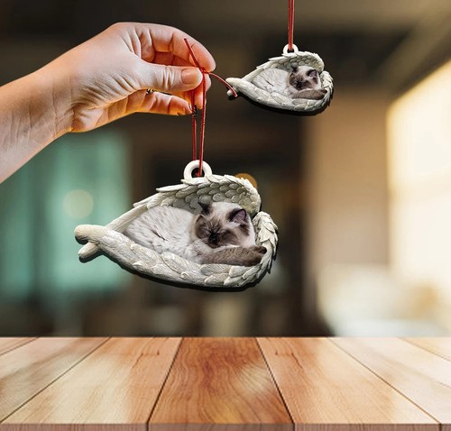 New himalayan cat - himalayan, sleeping