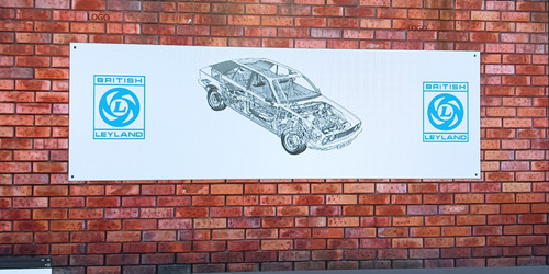 Austin british leyland - austin,