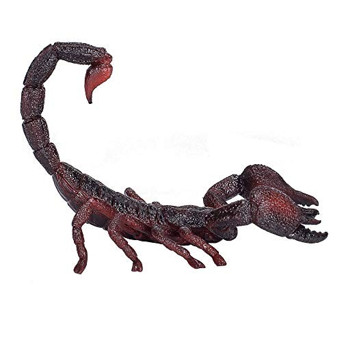 Mojo emperor scorpion - mojo,
