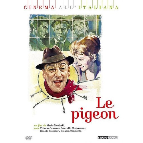 The pigeon dvd new - pigeon,