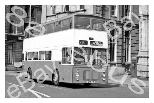 Bus photograph merseyside pte - photograph,