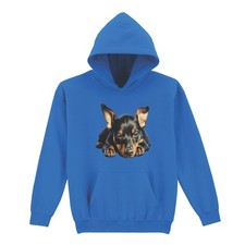 Miniature pinscher puppy dogs - miniature,