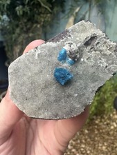 Large Cavansite Pentagonite