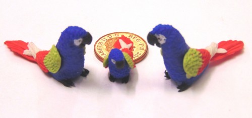 Parents baby blue parrot - 2, &