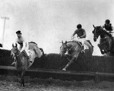 Arkle leads from Woodland