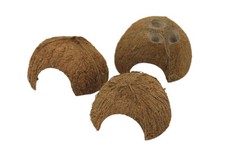 Half Coconut shell - fish hide