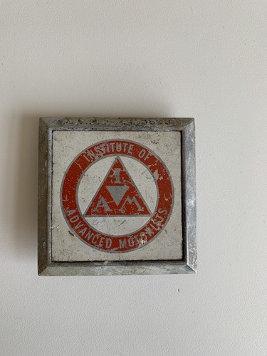 Institute advanced - institute, of