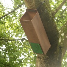 Tawny Owl Nest Box Tube –