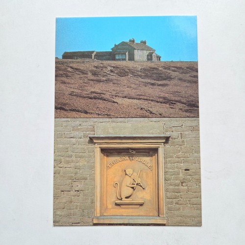 The cat fiddle inn postcard - fiddle,