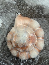 X5 Glass Snail shell Ornaments Christmas Baubles Unusual New