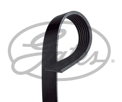 New ribbed belt for daimler - v-ribbed,