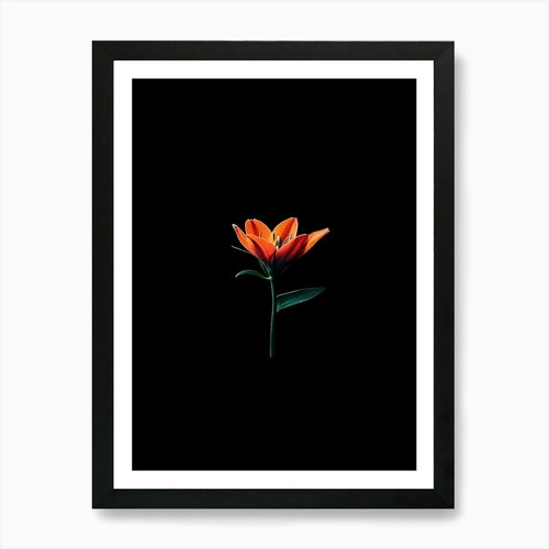 Tulip art print - art,
