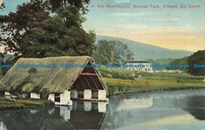 R640999 Co. Down. Kilkeel. Mourne Park. In the Beechwood. E. and S. Signal Serie