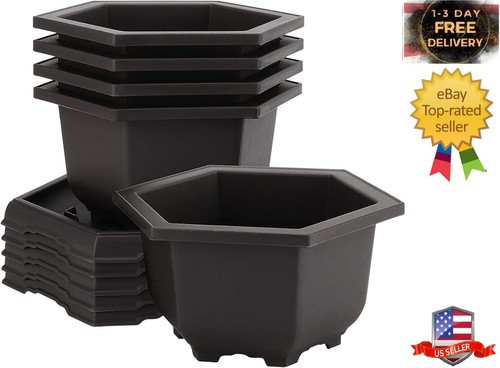 Pack bonsai pots hexagon - 5,