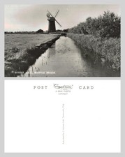 Vintage Postcard - Horsey