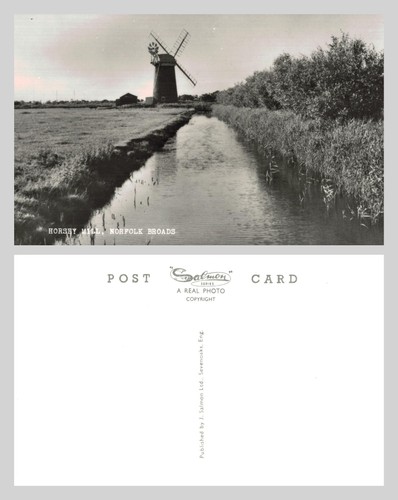 Vintage postcard horsey - postcard,
