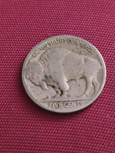Usa five cents buffalo - five, /