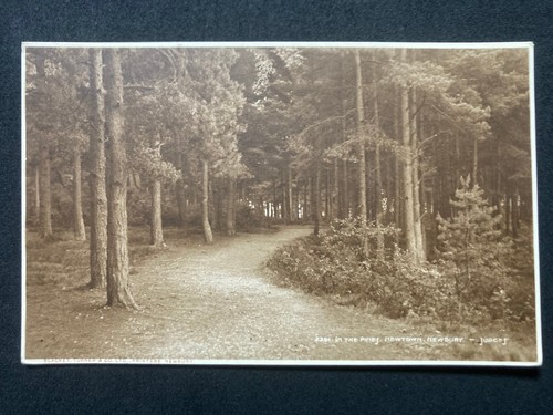 The pines newtown newbury - newtown,
