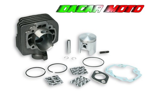 Malossi thermal group cast - malossi,