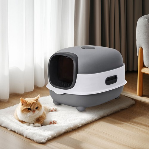 Large space cat - large,