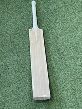 CA Plain Cricket Bat - Brand