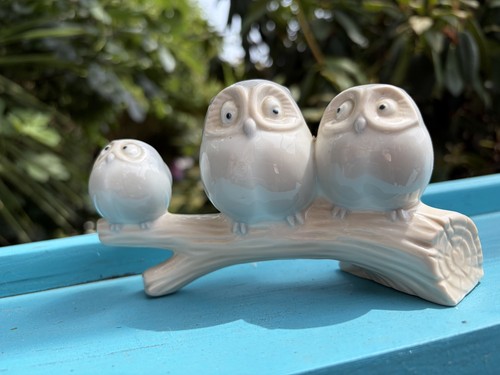 John jenkins japan owls - japan,
