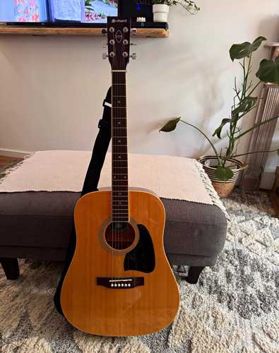 Chord cw26 dreadnought - chord,