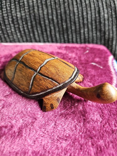 Hand carved wooden turtle - hand,