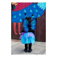 New KIds Butterfly Fancy Dress