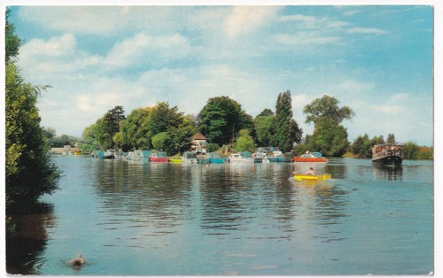 The river weybridge surrey - the,