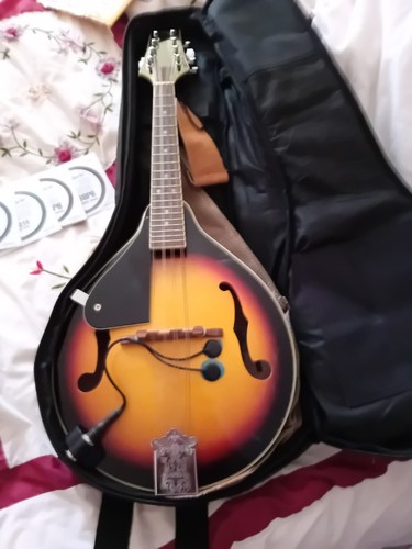Electro mandolin - electro,
